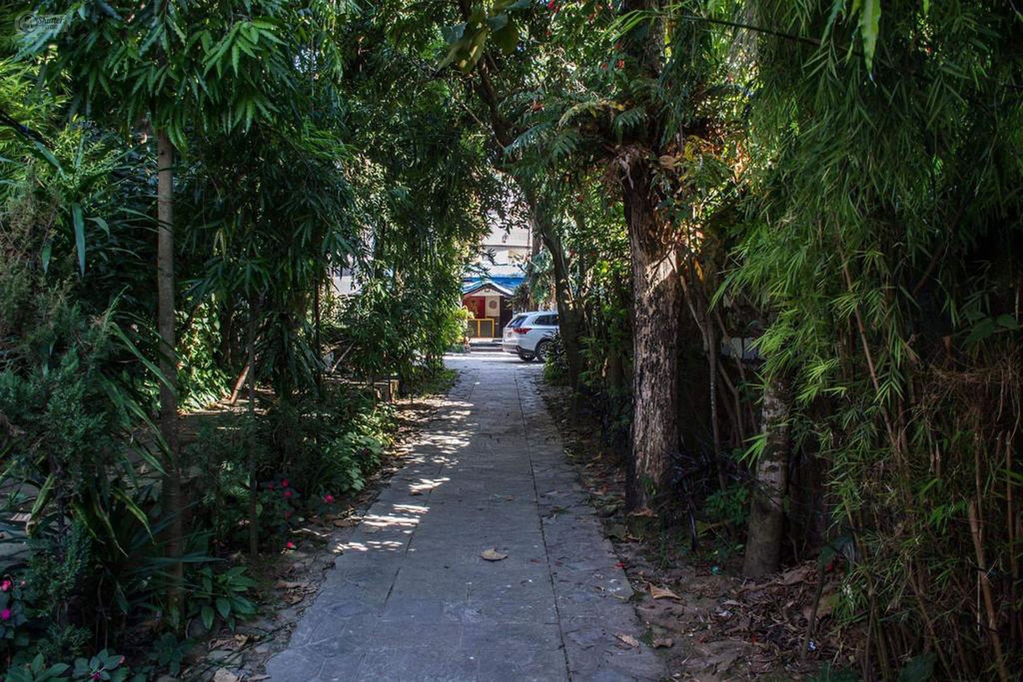 Yeti Guest House Pokhara Exteriör bild